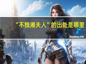 “不独湘夫人”的出处是哪里