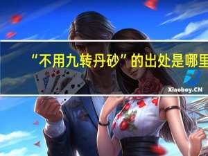 “不用九转丹砂”的出处是哪里