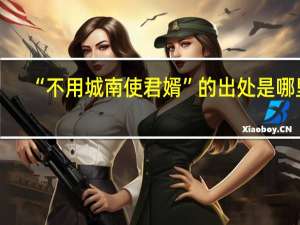 “不用城南使君婿”的出处是哪里