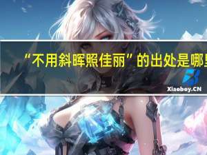 “不用斜晖照佳丽”的出处是哪里