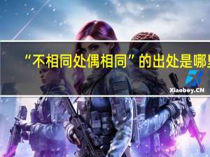 “不相同处偶相同”的出处是哪里