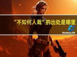 “不知何人栽”的出处是哪里