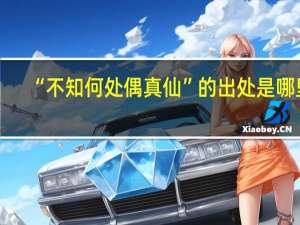 “不知何处偶真仙”的出处是哪里