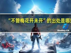 “不管梅花开未开”的出处是哪里