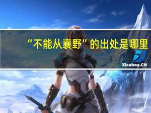 “不能从襄野”的出处是哪里