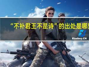 “不补君王不是诗”的出处是哪里