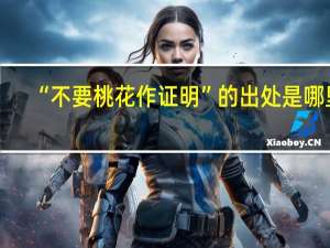 “不要桃花作证明”的出处是哪里