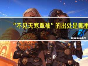 “不见天寒翠袖”的出处是哪里
