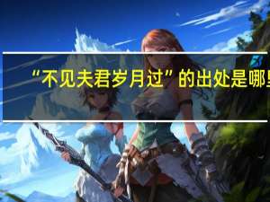 “不见夫君岁月过”的出处是哪里