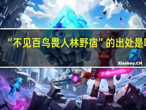 “不见百鸟畏人林野宿”的出处是哪里