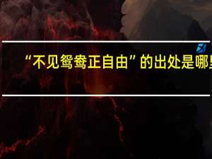“不见鸳鸯正自由”的出处是哪里
