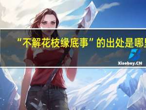 “不解花枝缘底事”的出处是哪里