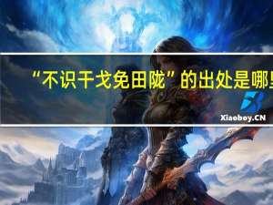 “不识干戈免田陇”的出处是哪里