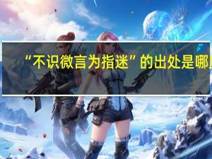 “不识微言为指迷”的出处是哪里