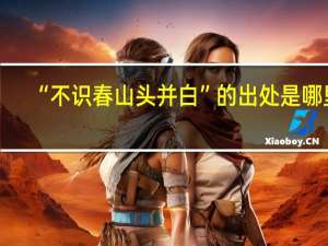 “不识春山头并白”的出处是哪里
