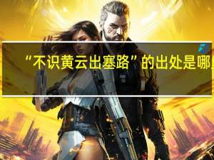 “不识黄云出塞路”的出处是哪里