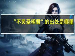 “不负圣明君”的出处是哪里