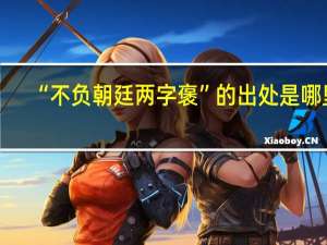 “不负朝廷两字褒”的出处是哪里