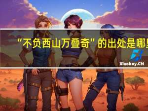“不负西山万叠奇”的出处是哪里