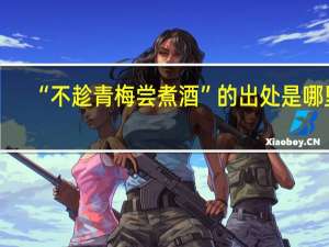“不趁青梅尝煮酒”的出处是哪里