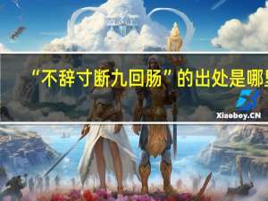 “不辞寸断九回肠”的出处是哪里