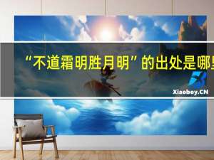 “不道霜明胜月明”的出处是哪里