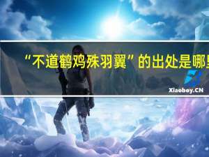 “不道鹤鸡殊羽翼”的出处是哪里