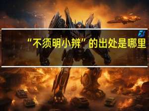 “不须明小辨”的出处是哪里