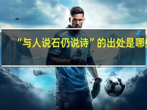 “与人说石仍说诗”的出处是哪里