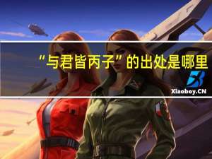 “与君皆丙子”的出处是哪里