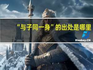 “与子同一身”的出处是哪里