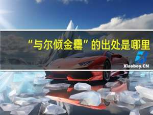 “与尔倾金罍”的出处是哪里
