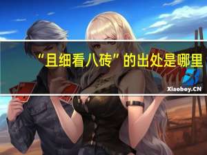 “且细看八砖”的出处是哪里