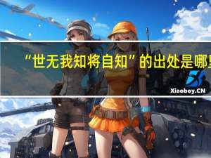 “世无我知将自知”的出处是哪里