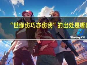 “世缘伤巧亦伤我”的出处是哪里