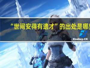 “世间安得有遗才”的出处是哪里