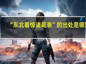 “东北看惊诸葛表”的出处是哪里