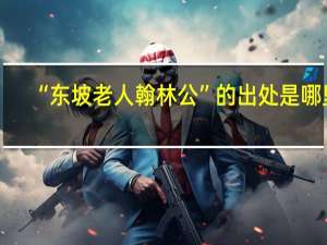 “东坡老人翰林公”的出处是哪里