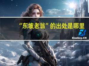 “东坡老翁”的出处是哪里