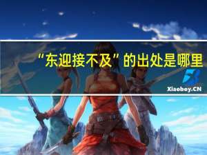 “东迎接不及”的出处是哪里