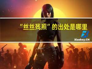 “丝丝残照”的出处是哪里