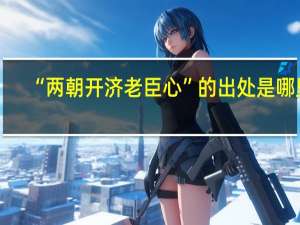 “两朝开济老臣心”的出处是哪里