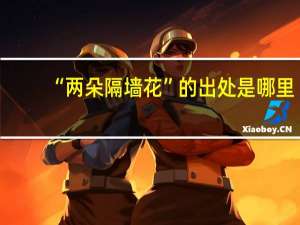 “两朵隔墙花”的出处是哪里