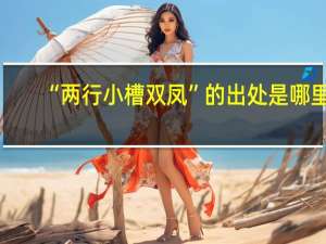 “两行小槽双凤”的出处是哪里