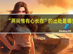 “两间惟有心长在”的出处是哪里