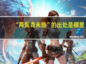 “两鬓青未皓”的出处是哪里