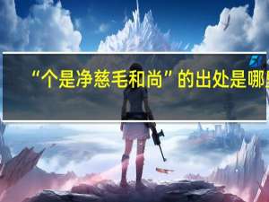 “个是净慈毛和尚”的出处是哪里