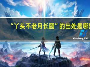 “丫头不老月长圆”的出处是哪里