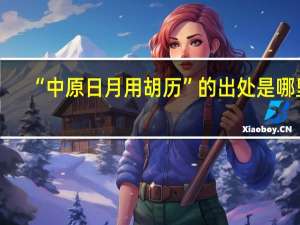 “中原日月用胡历”的出处是哪里