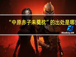 “中原赤子未奠枕”的出处是哪里